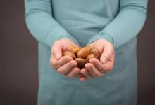 benefits of nuts for pregnant women